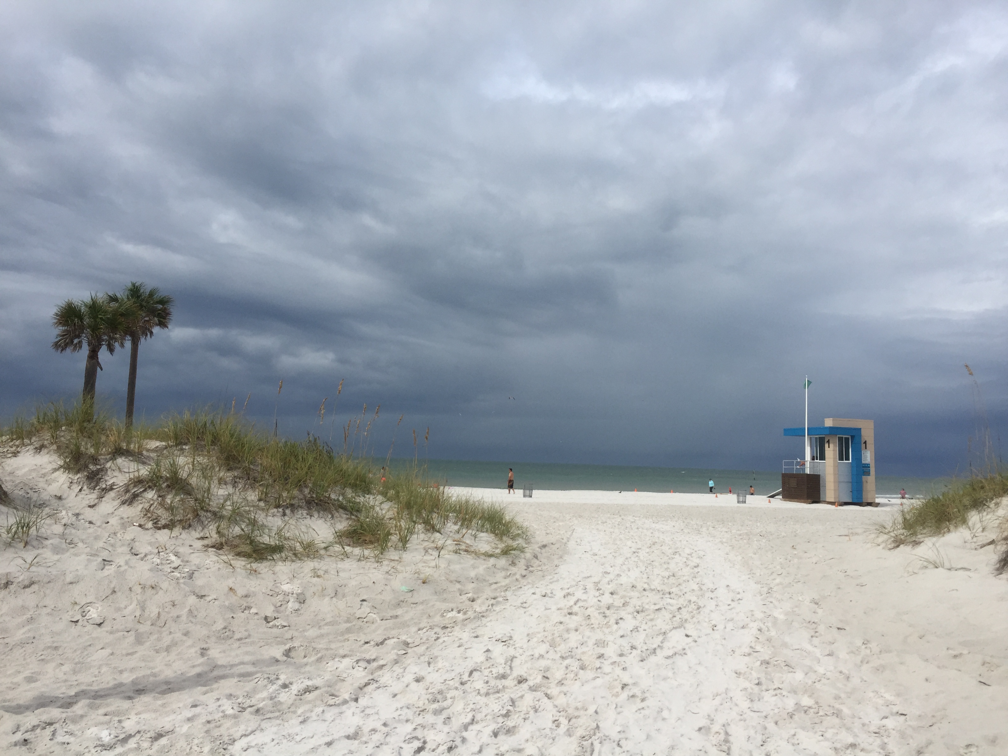 Bike the Clearwater Causeways