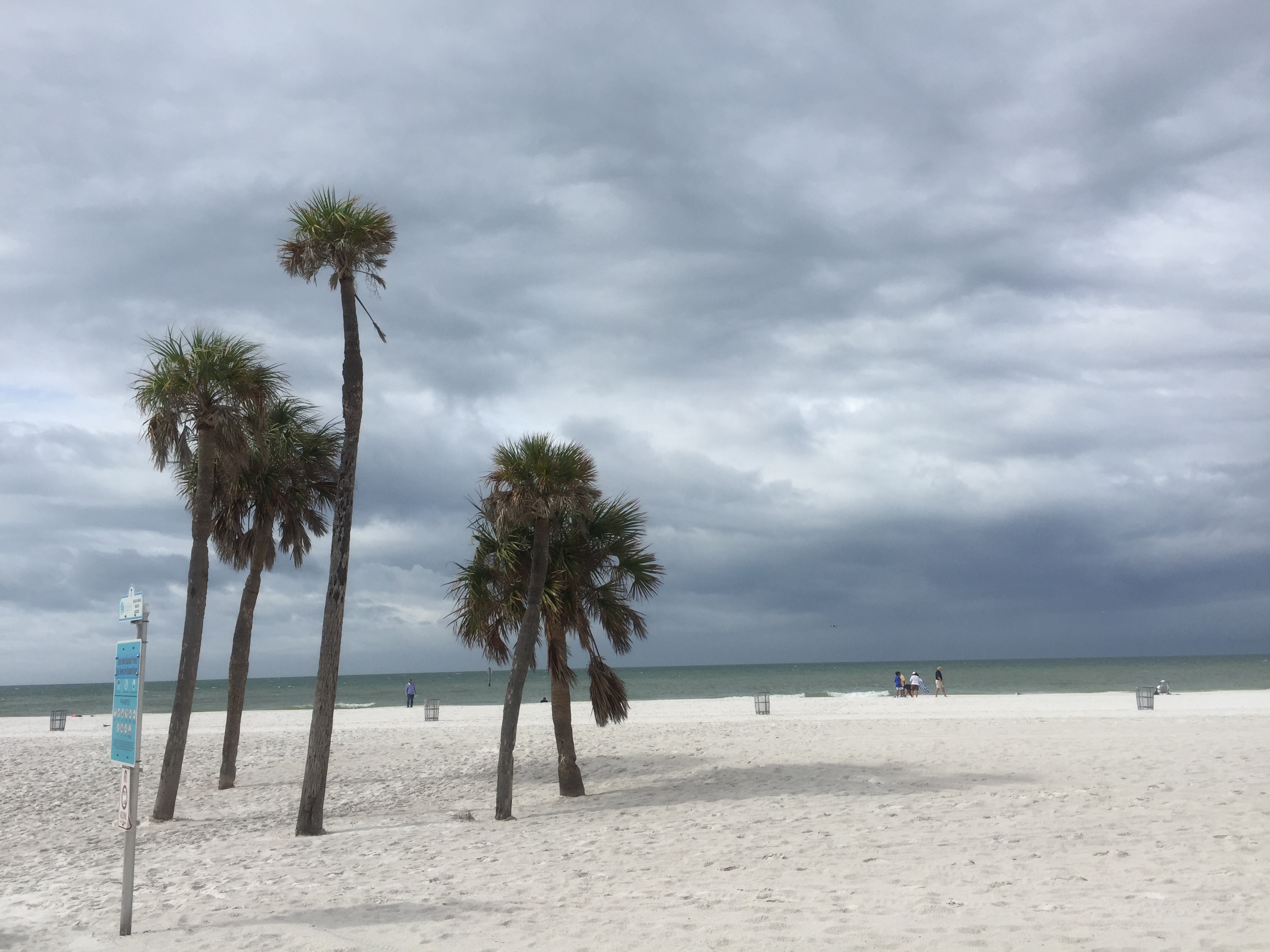 Bike the Clearwater Causeways