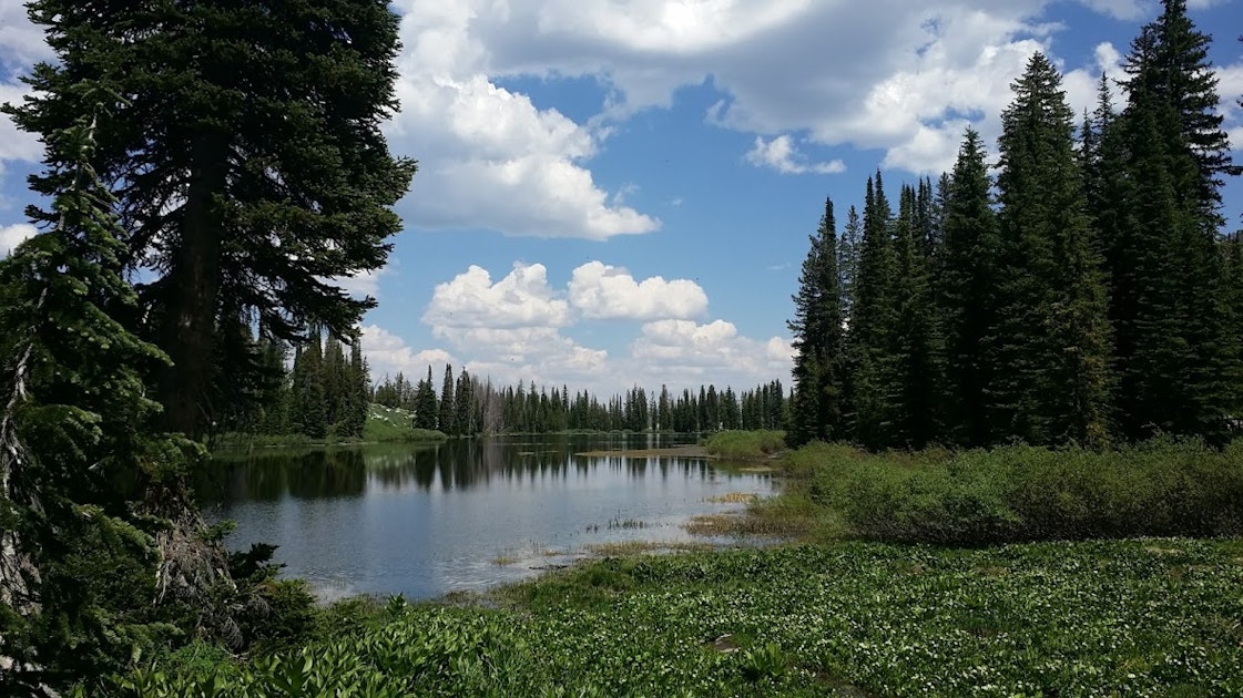 Explore the South Fork of the Boise River, South Fork of the Boise River