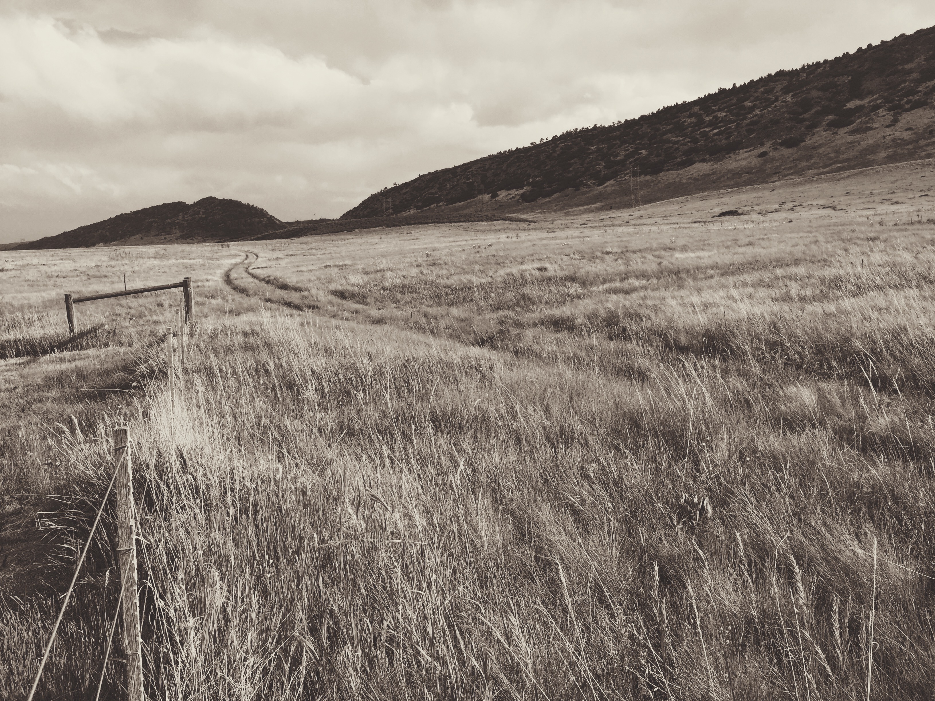 Hike or Bike Hildebrand Ranch