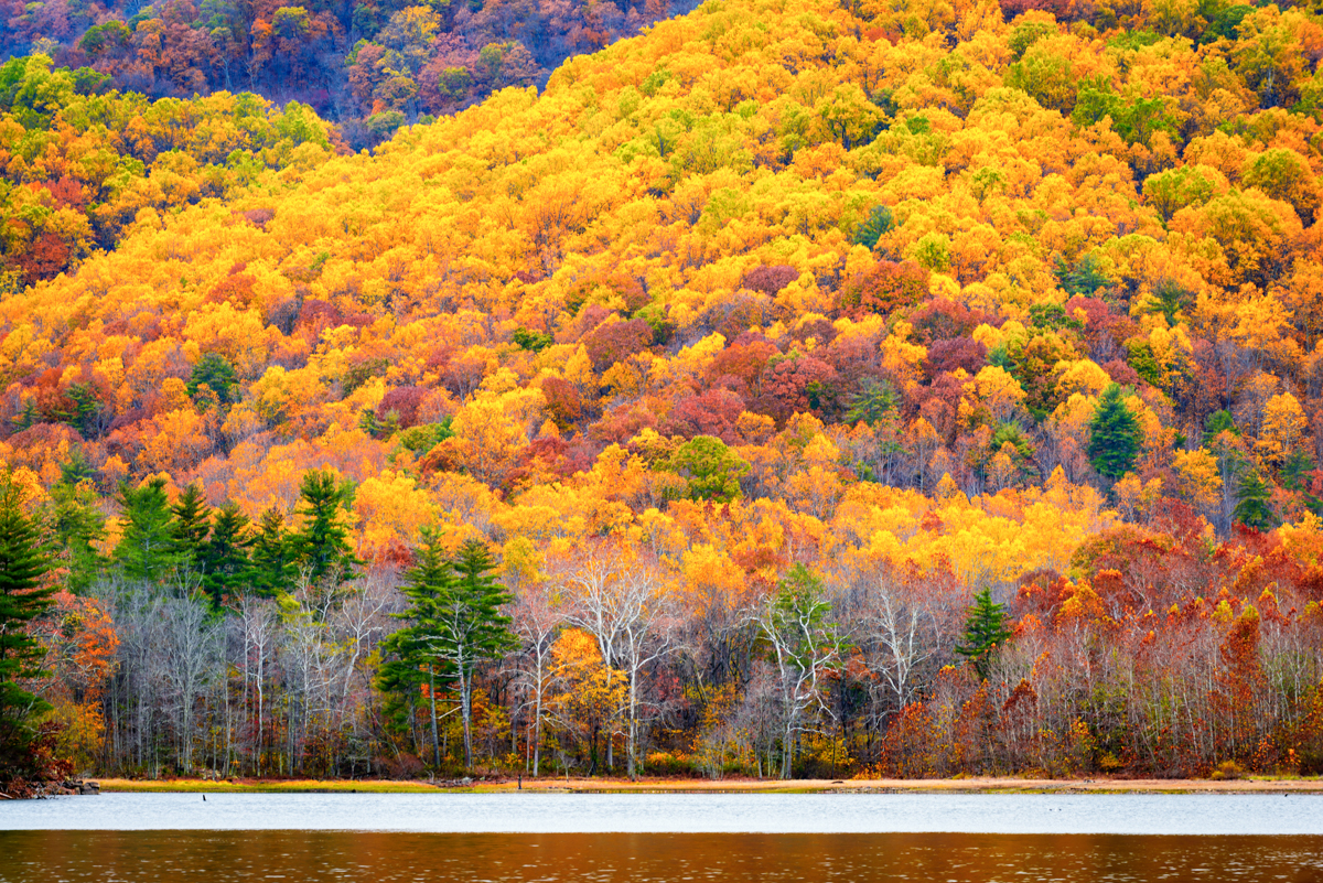 Photograph Charlottesville Reservoir