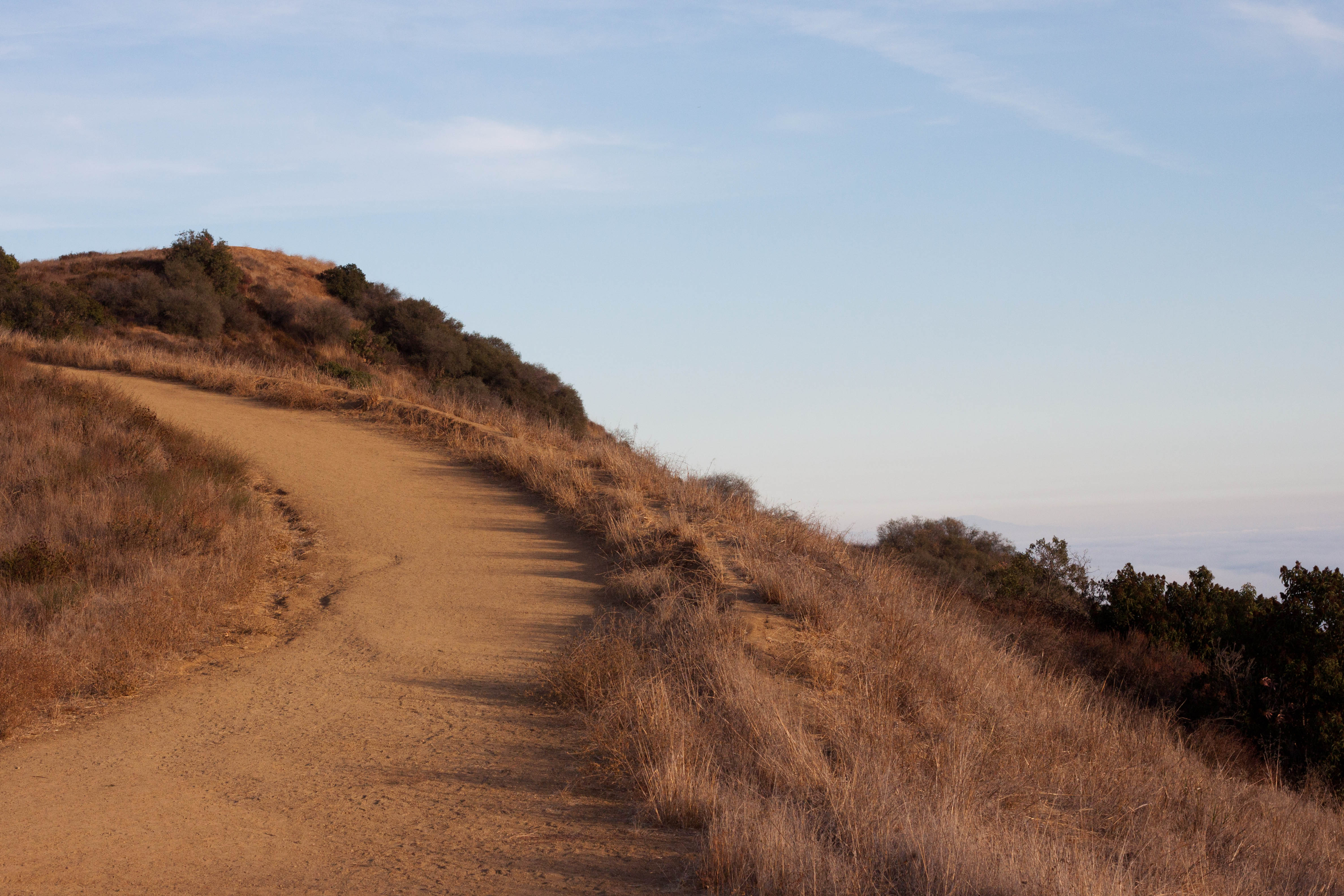 Photo of The Labyrinth at Tuna Canyon Park