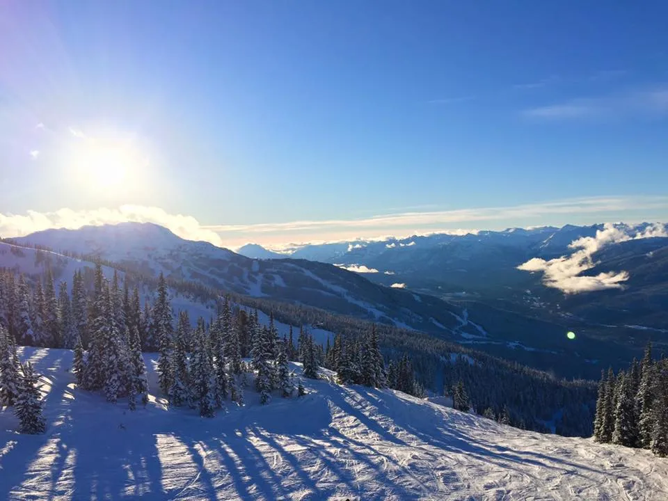 Ski Spanky's Ladder