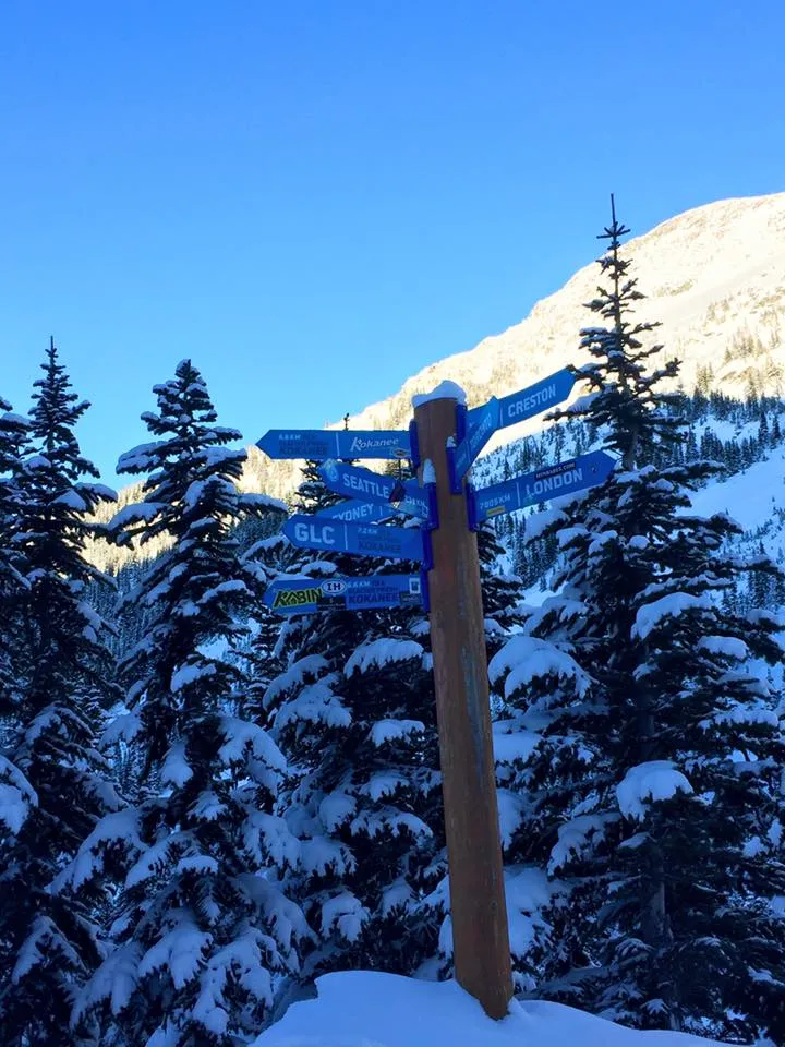 Ski Spanky's Ladder