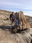 Drive the Scenic Loop at Theodore Roosevelt National Park , Medora ...